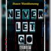 Never Let Go (Explicit) - Shawn Wantthemoney