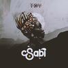 SABI - TDY
