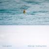 show me love - Isaac Gracie
