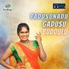 Padusunadu Gadusu Buddulu - Lavanya