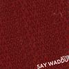 Say Waddup (Explicit) - NTHN