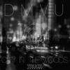 Empty House - DMVU