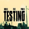 Testing (Explicit) - Nico G&Pino G.