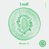 Houston - LeoK