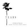 Christmas(Baby Please Come Home) - Tears