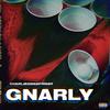 Gnarly (Explicit) - charlieonnafriday