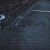 DUAN - Bloom (Quiet Bison Remix) - Quiet Bison&Julia Lostrom