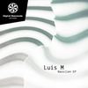 Taurus (Original Mix) - Luis M