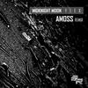 Flex (Amoss Remix) - Midknight MooN&Amoss