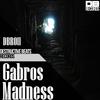 Madness (Original Mix) - Gabros