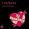 Bromance (Avicii's Arena Radio Edit) - Tim Berg