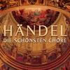 Riccardo Primo, Re d'Inghliterra, HWV. 23, Act III - La memoria dei tormenti - Paul Goodwin&George Frideric Händel&Lawrence Zazzo&Nuria Rial
