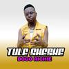 tule sheshe (feat. dogo richie) - Kaya Records&Dogo Richie