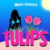 Tulips - Major Shackie