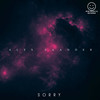 Sorry - Alex Saander