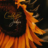 Could Be (Explicit) - Jadzia