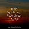 Just Fly Away - SPA&Sounds of Nature White Noise Sound Effects&Yoga Music