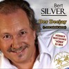 Der Deejay(...war schuld daran) (Hüma DJ Mix) - Bert Silver