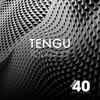 Tough - Tengu