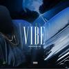 Vibe (Explicit) - Gator