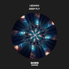 Deep Fly - Ledako