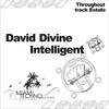 Intelligent (Original Mix) - David Divine