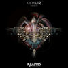 Birds - Mihalyz