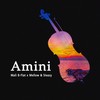 Amini - Mali B-flat&Mellow & Sleazy