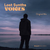 Voices - Lost Synths