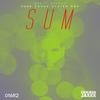 Sum (Rubb Sound System Remix) - Brett Relish&Rubb Sound System