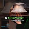 Temple Bells In Rain (Original Mix) - Forest Therapy