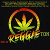 Fast Car - Songs of Dandelion