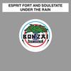 Under The Rain (Breaks Mix) - SoulState&Esprit Fort and SoulState&Esprit Fort