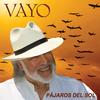 PAJAROS DEL SOL - Vayo Raimondo