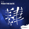 Push The Gate (Extended Mix) - Elv