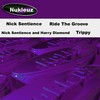 Trippy (Original Mix) - Nick Sentience&Harry Diamond