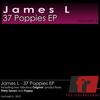 Thirty Seven (Original Mix) - James L
