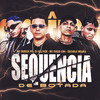 SEQUÊNCIA DE BOTADA (Explicit) - MC Derick PS&Mc Theus Cba&Escarle Moura&Dj Olliver