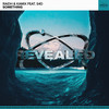 Something - RAIDH&Kamix&Revealed Recordings&S4D