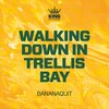 Walking Down in Trellis Bay - Bananaquit