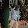 Long Run (Explicit) - WILTER