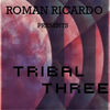 Tribal Three (Norty Cotto Revamp Mix) - Roman Ricardo&Norty Cotto