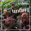 Unfurl - Xylem&Tea Tree