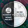 Like This (Original Mix) - Ironic Project
