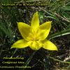 Awakening (Original Mix) - Numall Fix&Ken Grade