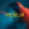 Escolhe Piranha (Explicit) - Mc Pk da Penha&DJ RYAN DA PENHA