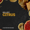 Citrus (Radio Mix) - Killjoy