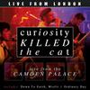 Misfit - Curiosity Killed The Cat