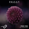 Free Fire (Original Mix) - P.R.O.S.T.