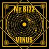 Venus (Original Mix) - Mr. Bizz